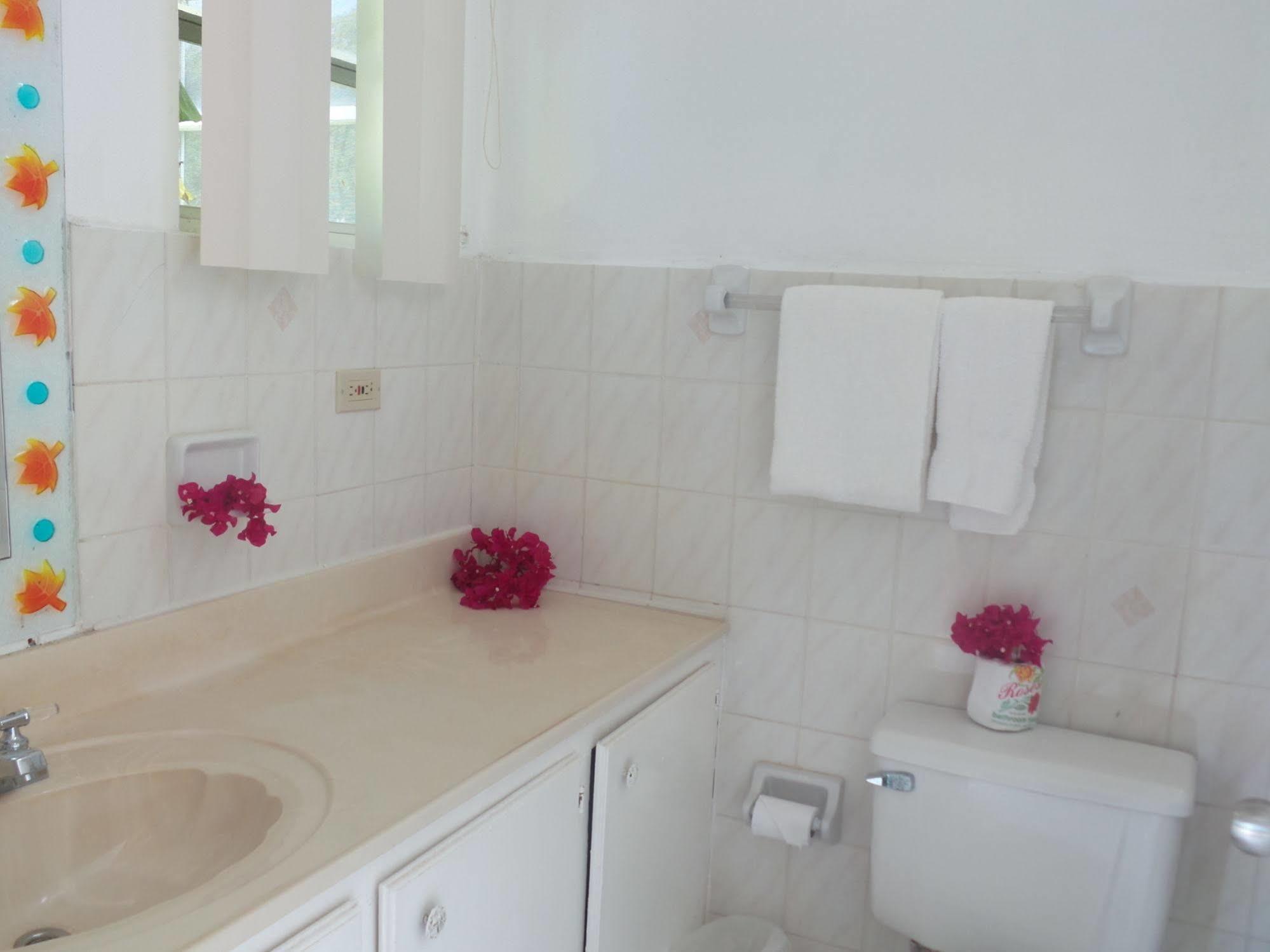 Anchorage Inn Dickenson Bay المظهر الخارجي الصورة